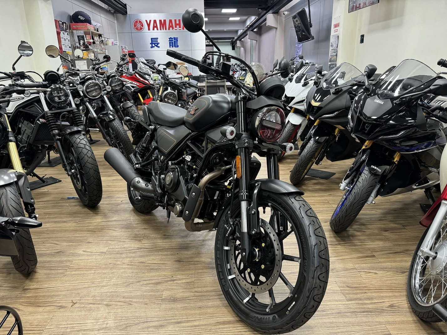 Harley-Davidson/哈雷 X440 440cc 2024款