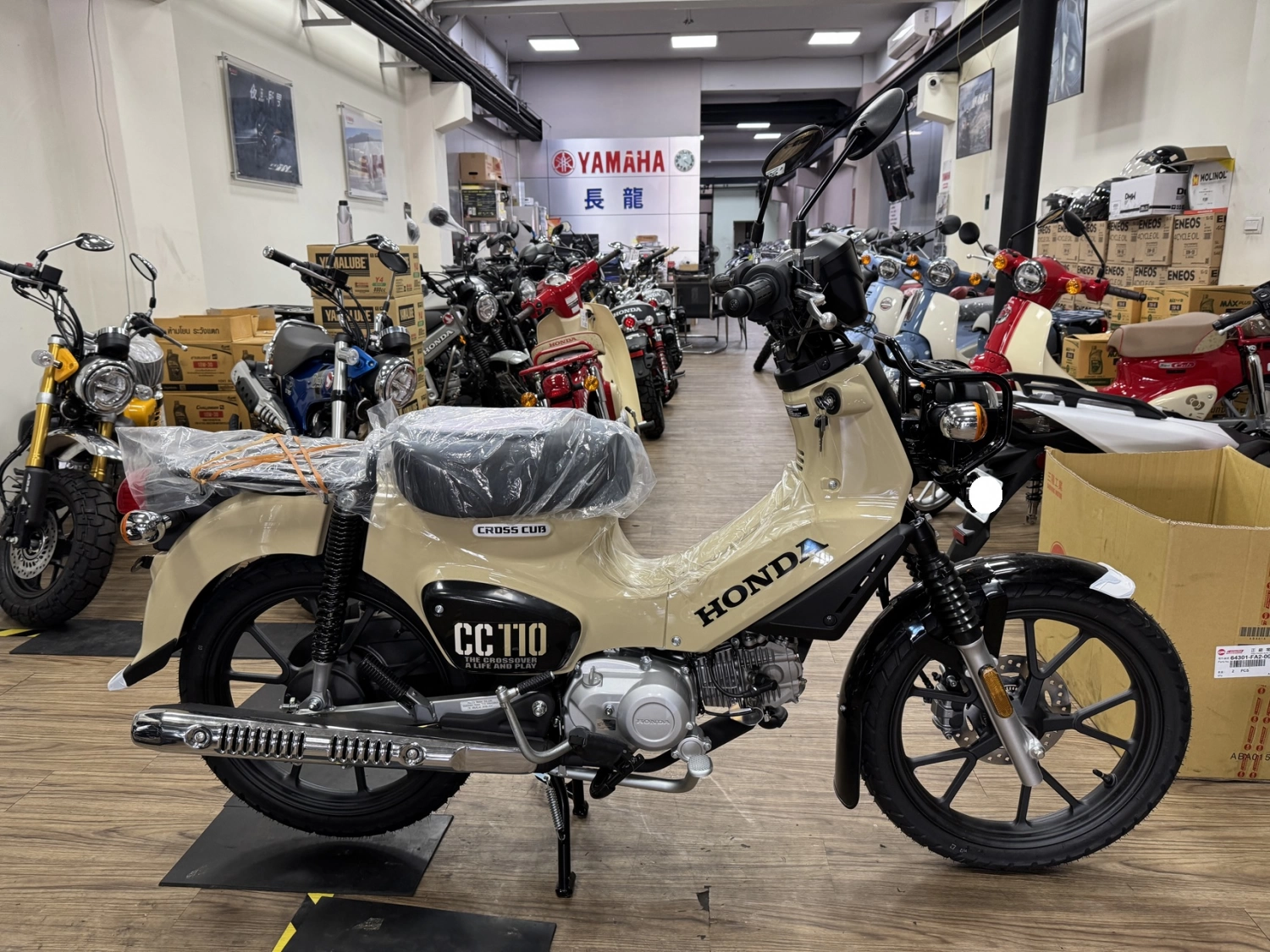 Honda/本田 CC110  2026款 車輛照片