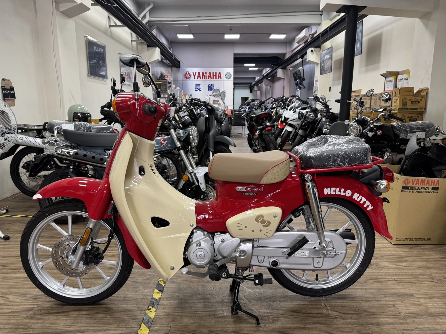 Honda/本田 SC110 KITTY 2025款 車輛照片