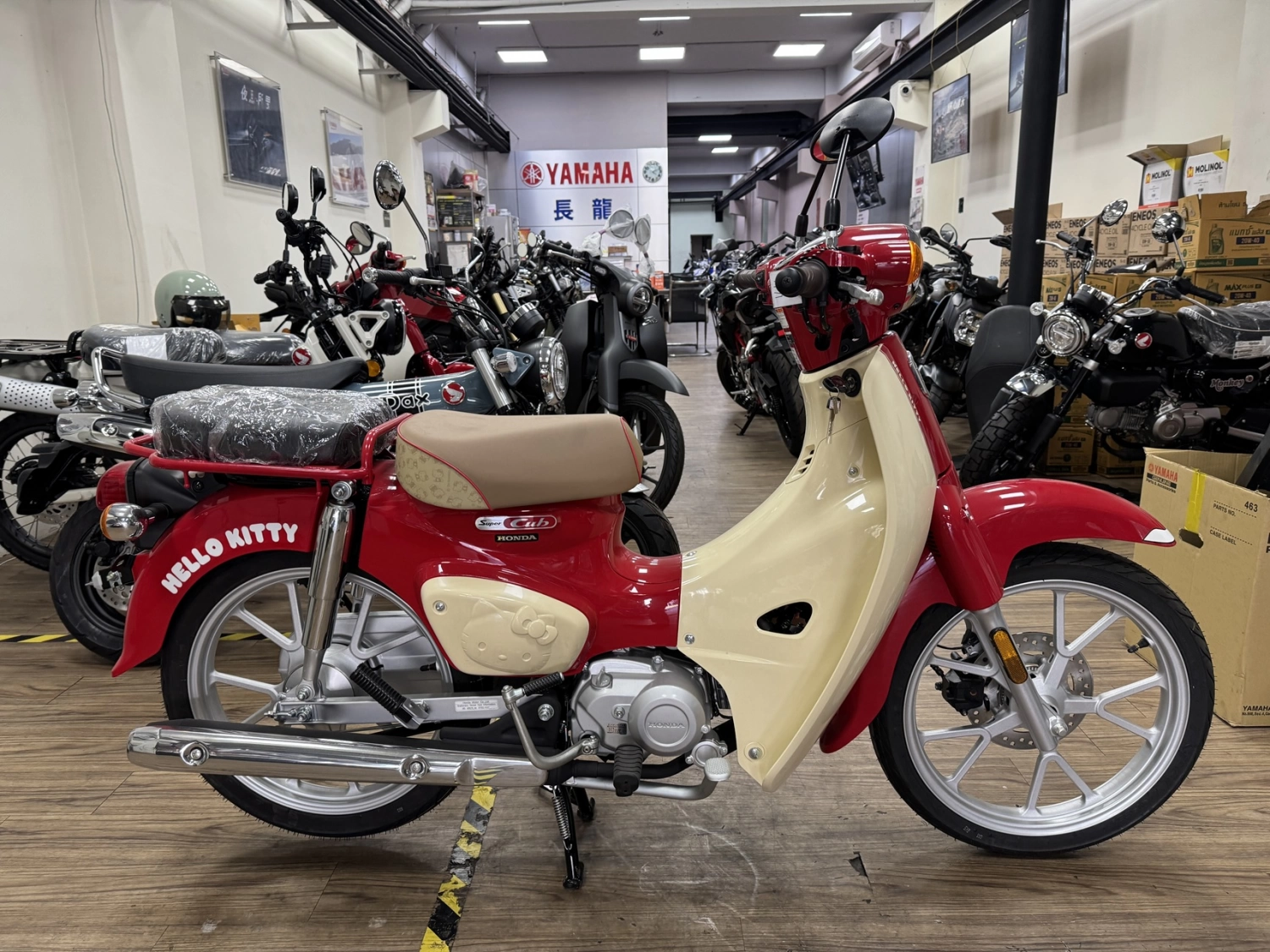 Honda/本田 SC110 KITTY 2025款 車輛照片