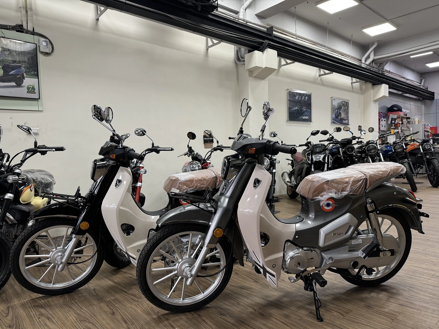 其他 GPX POPz 125 CBS 2023款 車輛照片