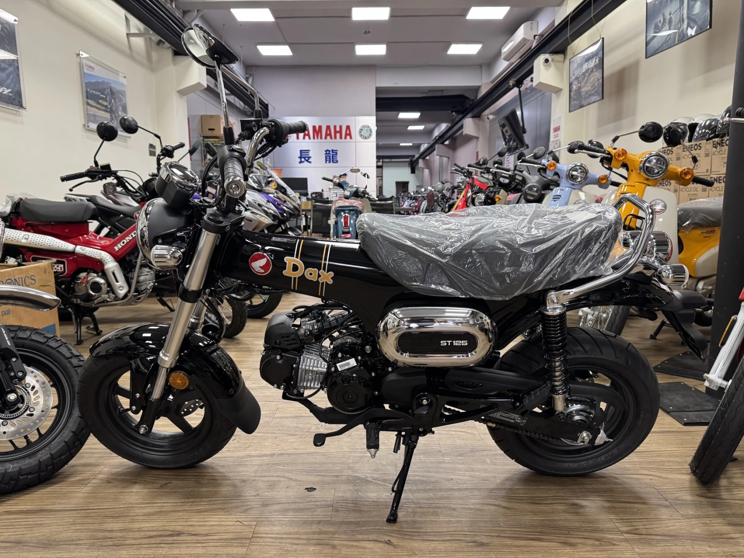 Honda/本田 DAX 125 2026款 車輛照片