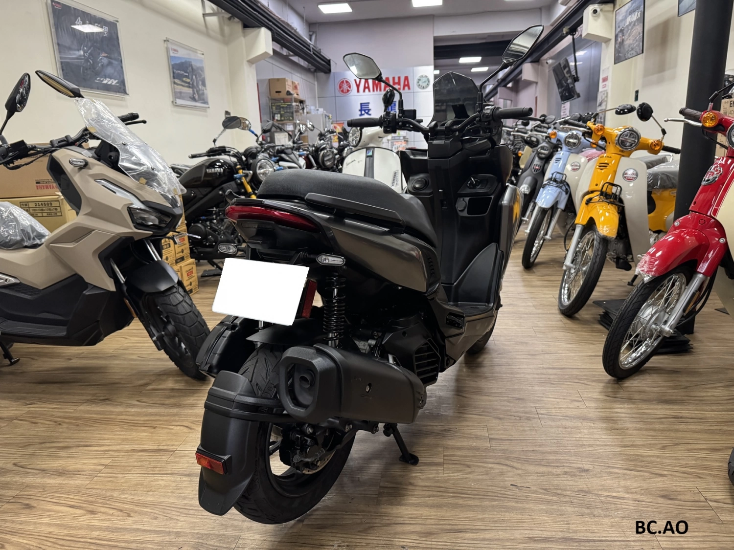 YAMAHA/山葉 AUGUR 155 2023款 車輛照片