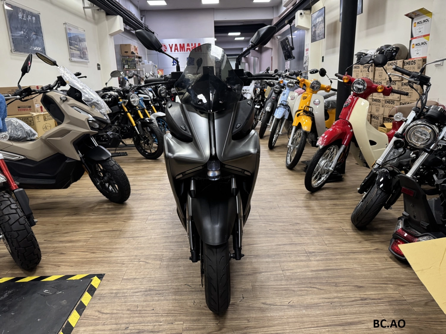 YAMAHA/山葉 AUGUR 155 2023款 車輛照片