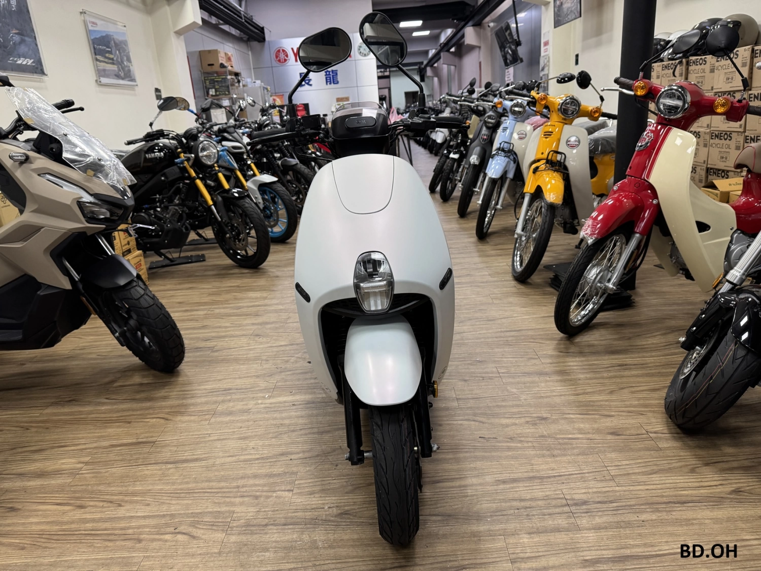 SYM/三陽 CLBCU 蜂鳥125 2024款 車輛照片