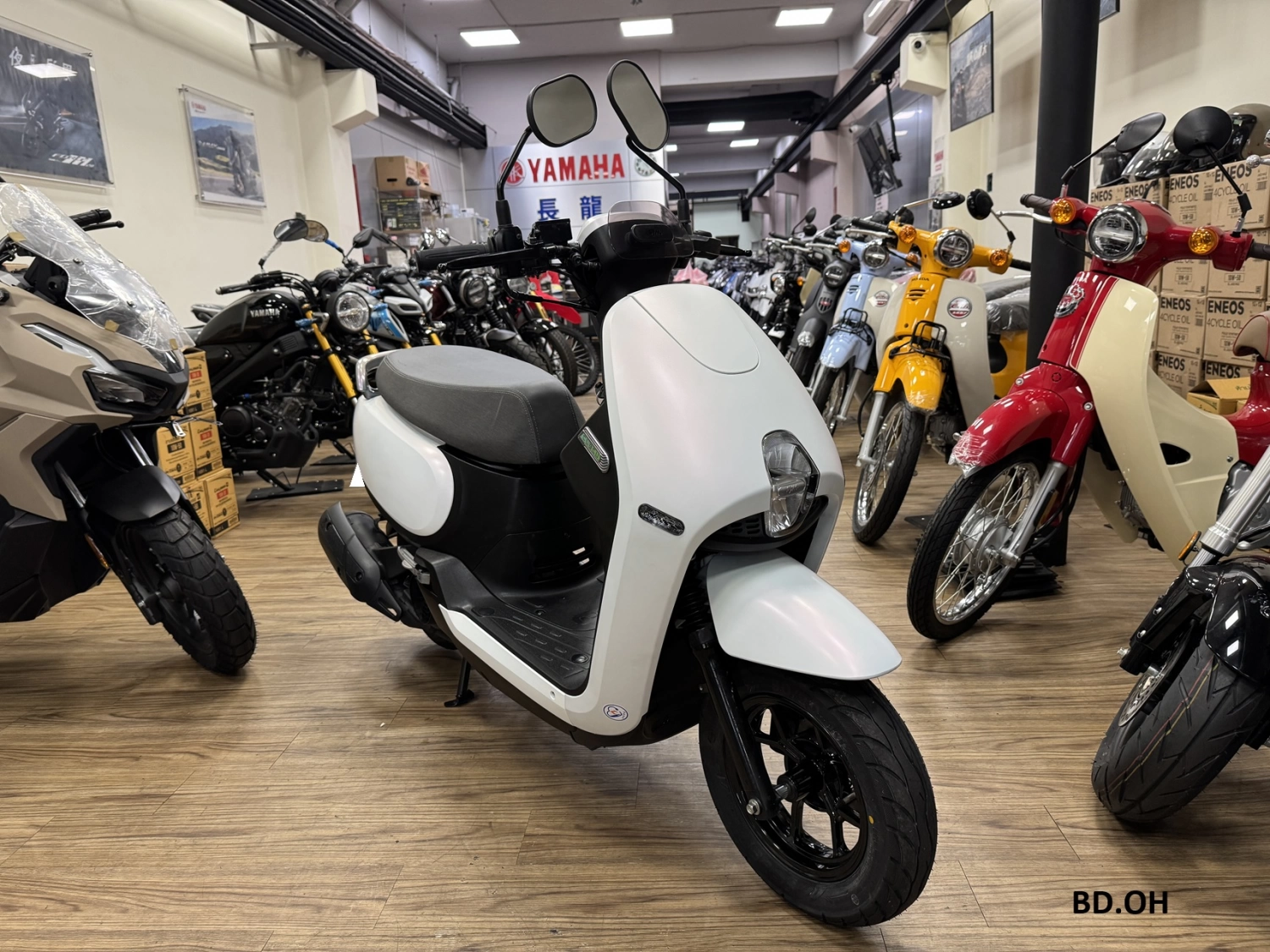 SYM/三陽 CLBCU 蜂鳥125 2024款 車輛照片