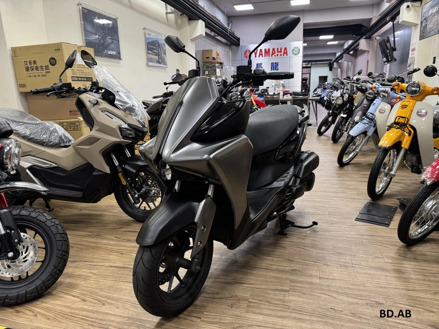 YAMAHA/山葉 AUGUR 155 2024款 車輛照片