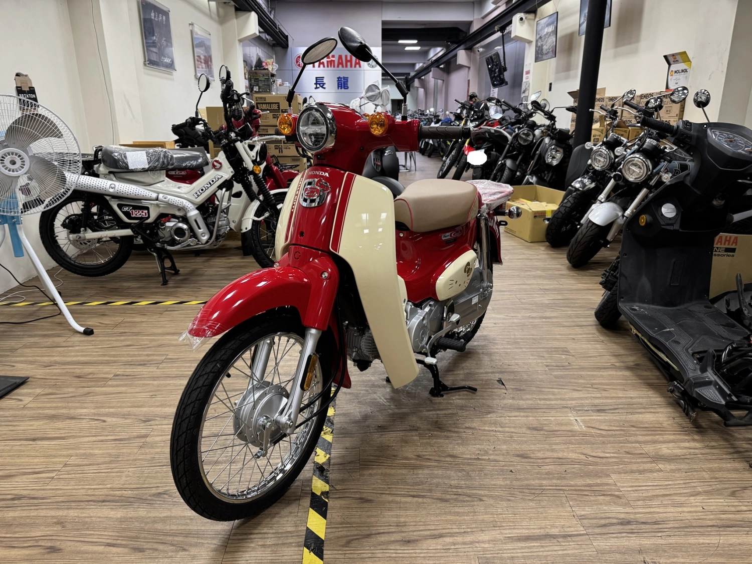 Honda/本田 SC50 KITTY 2025款 車輛照片
