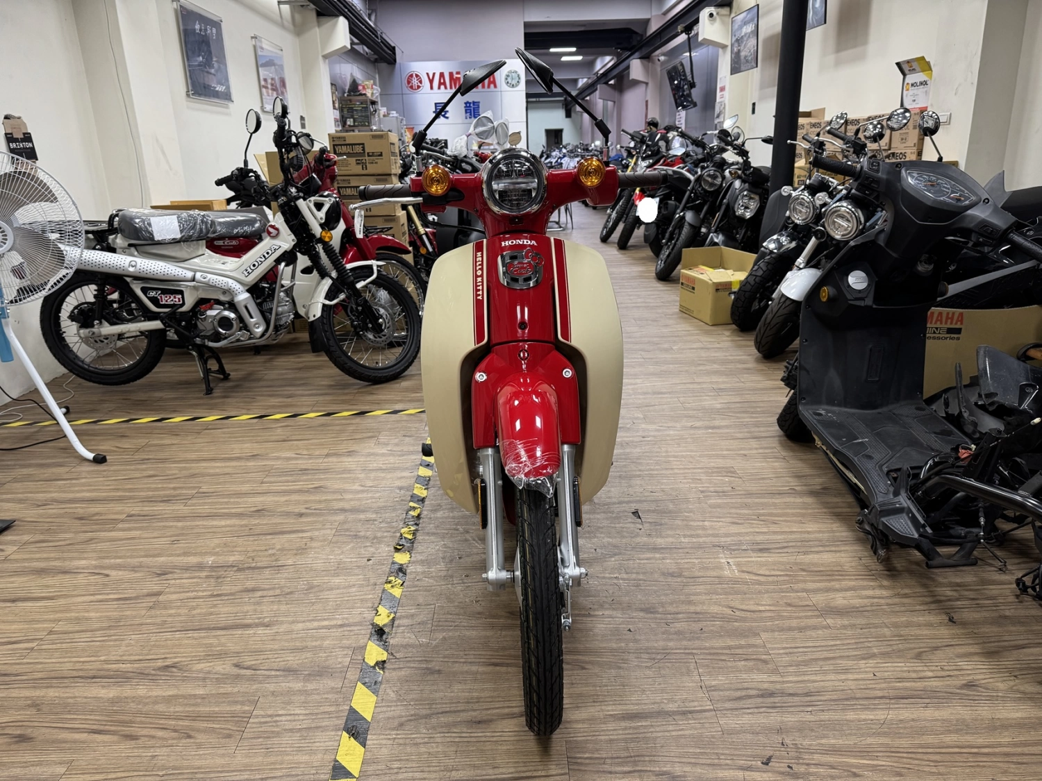 Honda/本田 SC50 KITTY 2025款 車輛照片