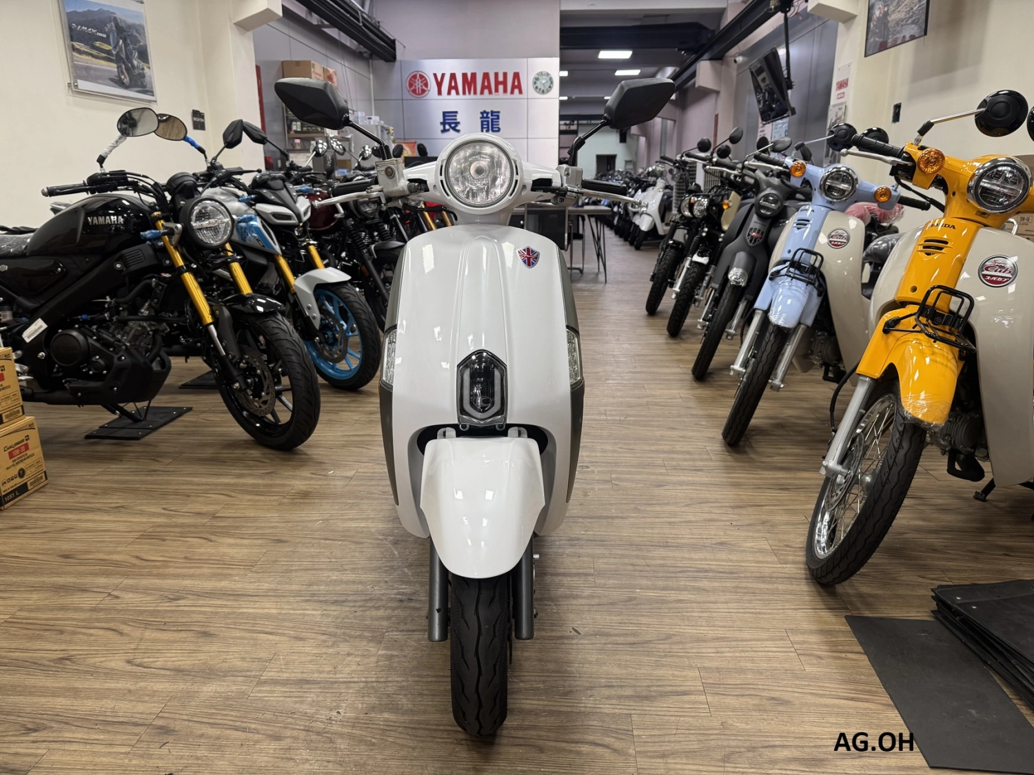 KYMCO/光陽 NEW MANY 110 碟煞 2017款 車輛照片