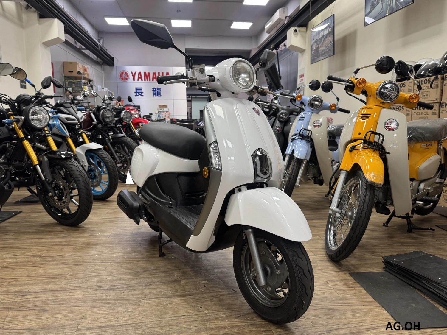 KYMCO/光陽 NEW MANY 110 碟煞 2017款 車輛照片