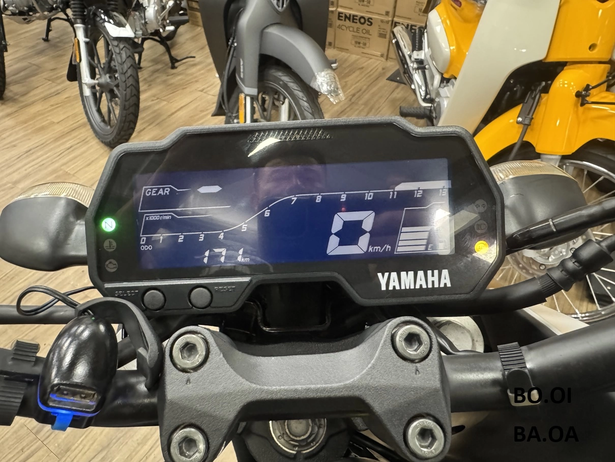 YAMAHA/山葉 MT-15 2020款 車輛照片