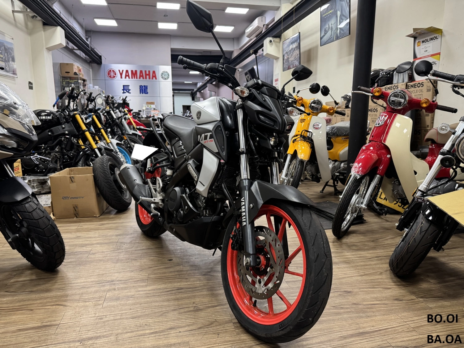YAMAHA/山葉 MT-15 2020款 車輛照片