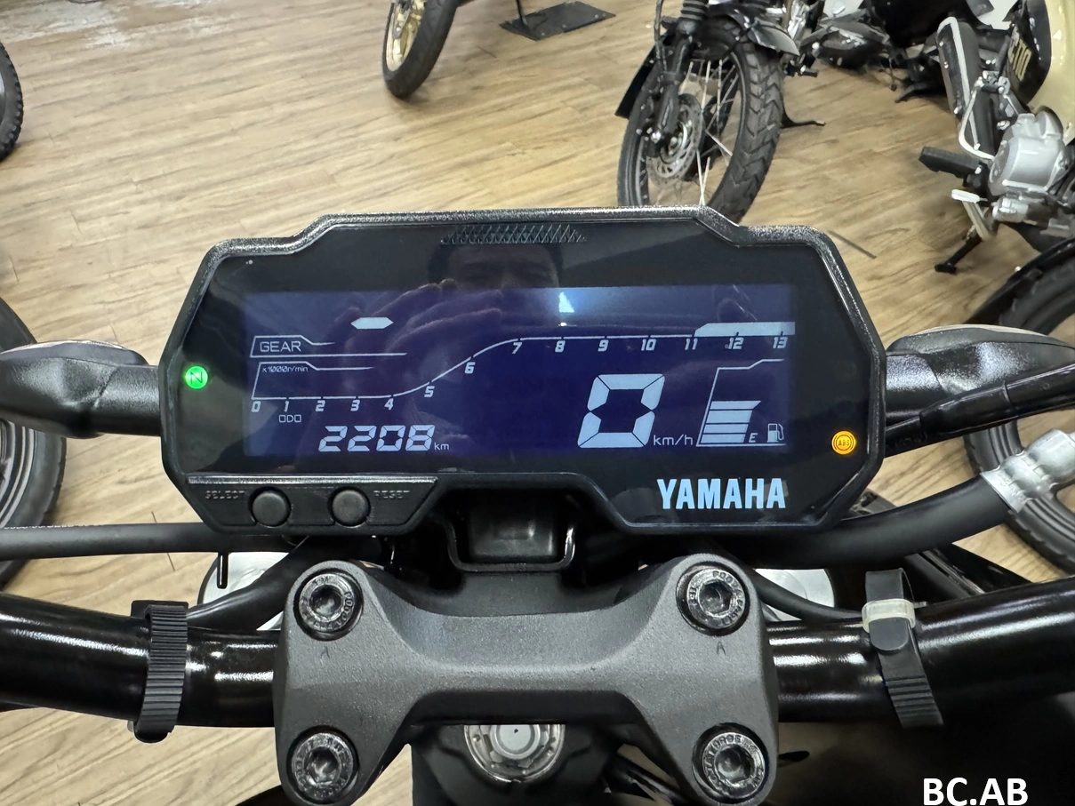 YAMAHA/山葉 MT-15 TCS 2023款 車輛照片