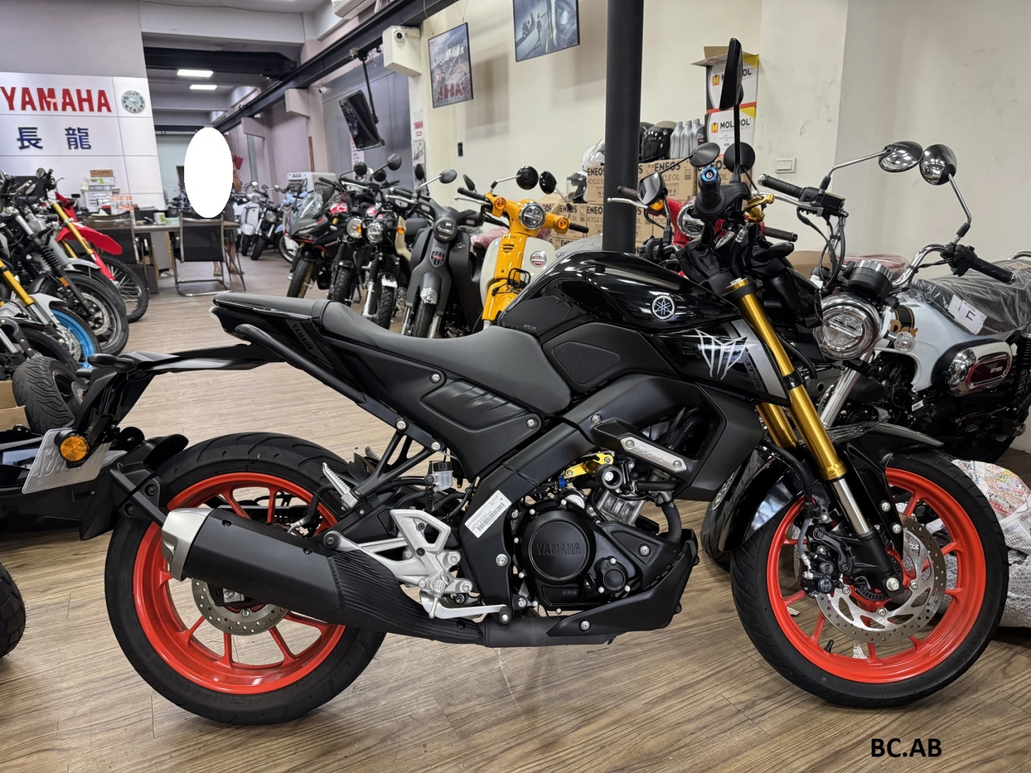 YAMAHA/山葉 MT-15 TCS 2023款 車輛照片