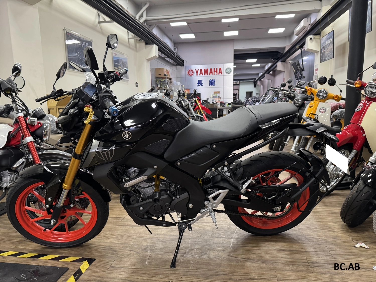 YAMAHA/山葉 MT-15 TCS 2023款 車輛照片