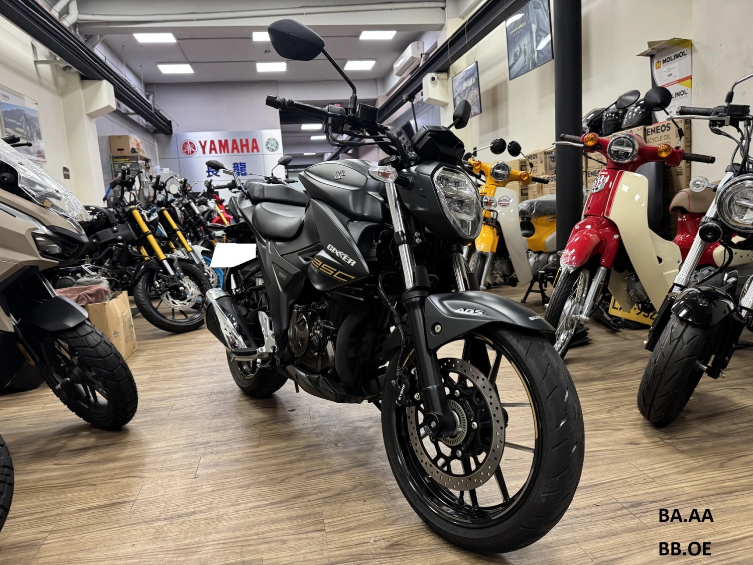 SUZUKI/鈴木 GIXXER 250 2021款 車輛照片