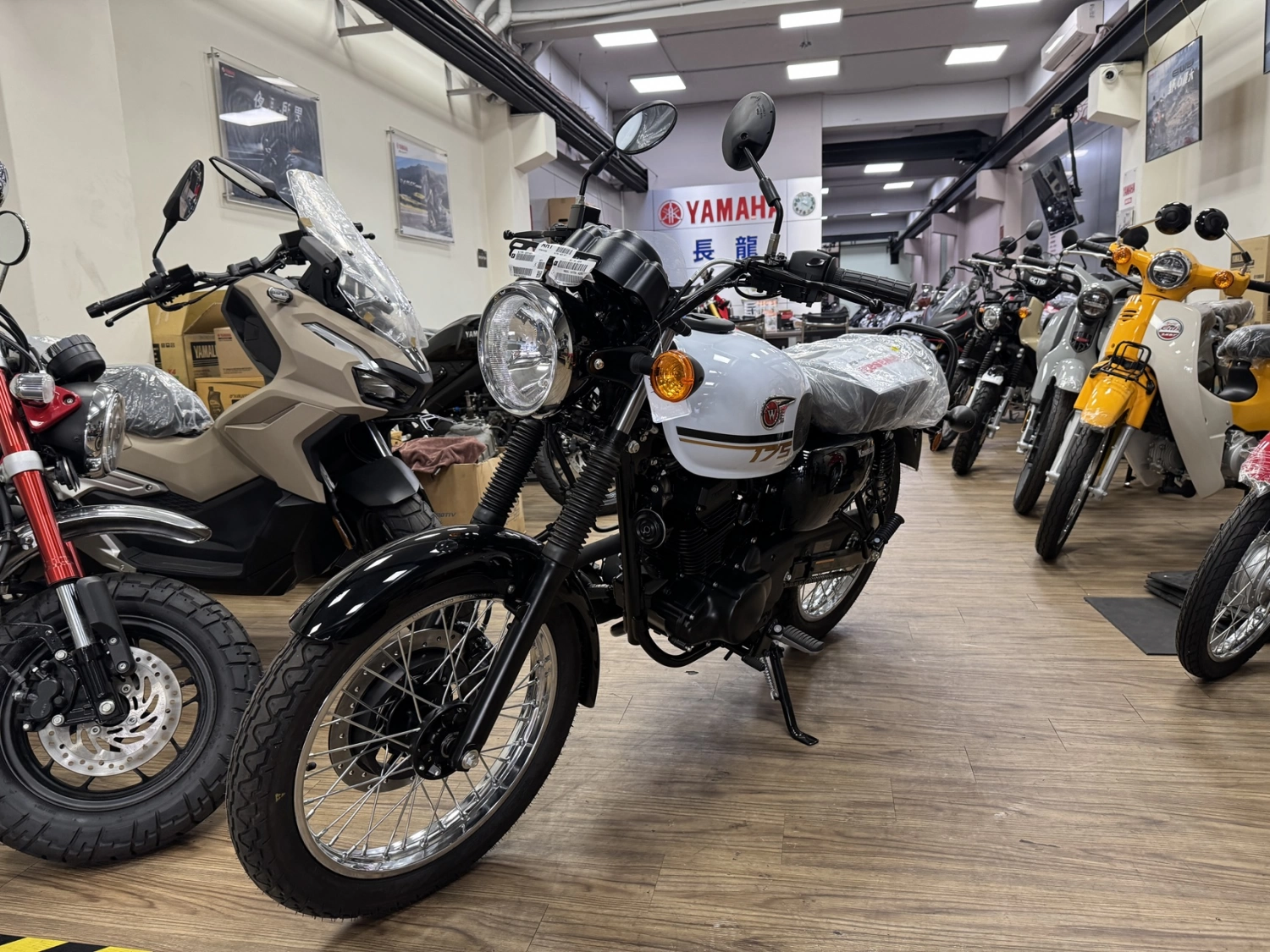 Kawasaki/川崎 W175 2026款 車輛照片